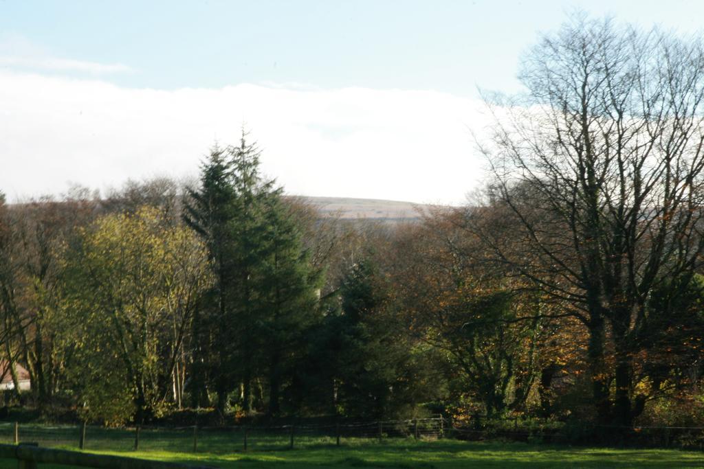 Lydford House Hotel Buitenkant foto